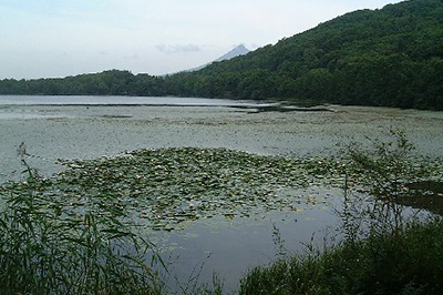 Lake Junsainuma,]h